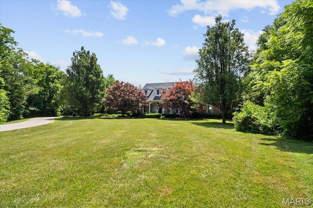 233 Forest Ct, Edwardsville, IL 62025 - photo 4