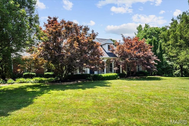 233 Forest Ct, Edwardsville, IL 62025 - photo 6
