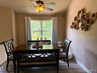 14 Shaderest Ct, Glen Carbon, IL 62034 - dining room featuring a ceiling fan and dark wood-style floors