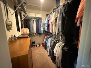 14 Shaderest Ct, Glen Carbon, IL 62034 - view of walk in closet
