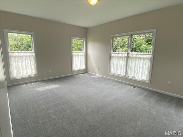 81 Stoneridge Ct, Moscow Mills, MO 63362 - photo 32