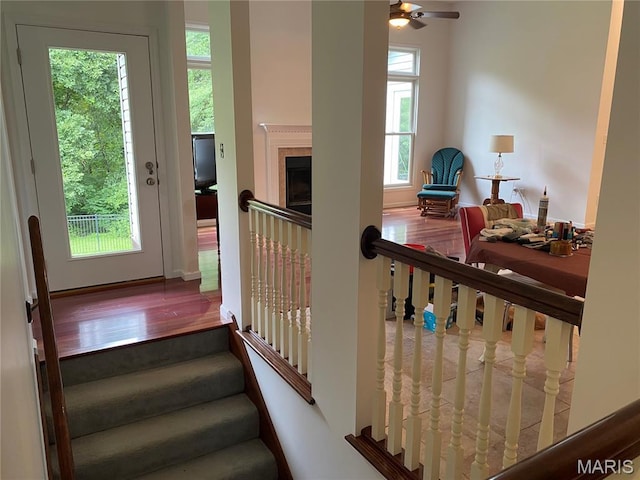 81 Stoneridge Ct, Moscow Mills, MO 63362 - photo 12
