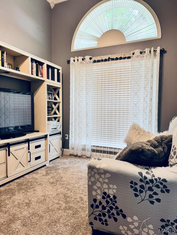 616 Remmick Stables Ct, Ofallon, MO 63368 - living room featuring light carpet