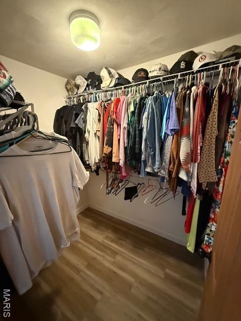 130 Regency Pl, Millstadt, IL 62260 - spacious closet with wood finished floors