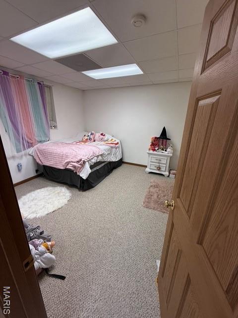 130 Regency Pl, Millstadt, IL 62260 - bedroom featuring carpet flooring and a paneled ceiling