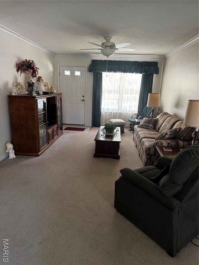 1215 Butternut Dr, Greenville, IL 62246 - photo 3