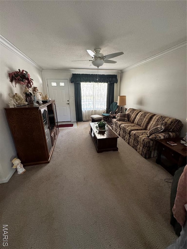 1215 Butternut Dr, Greenville, IL 62246 - photo 4