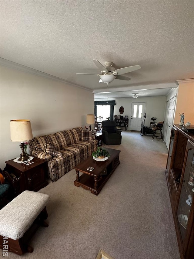 1215 Butternut Dr, Greenville, IL 62246 - photo 13