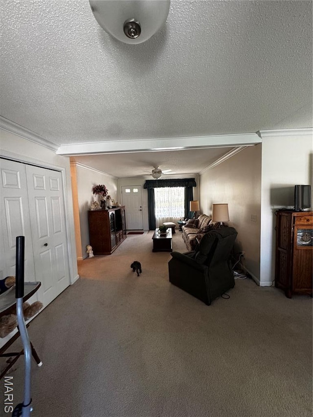 1215 Butternut Dr, Greenville, IL 62246 - photo 14