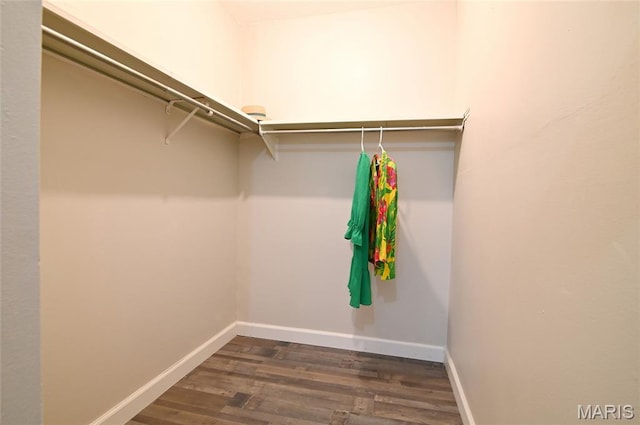 2745 Westphalia Ct Unit F, Oakville, MO 63129 - spacious closet with dark wood-style flooring