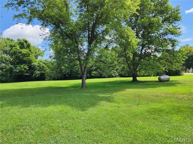 501 N Birch St, Mill Spring, MO 63952 - photo 4