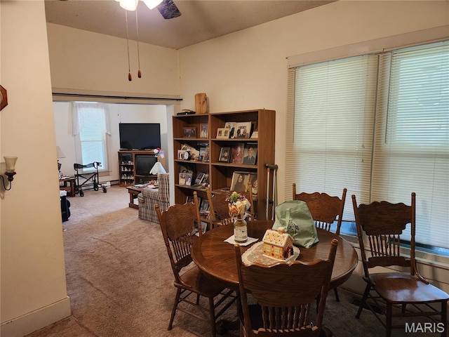 501 N Birch St, Mill Spring, MO 63952 - photo 10