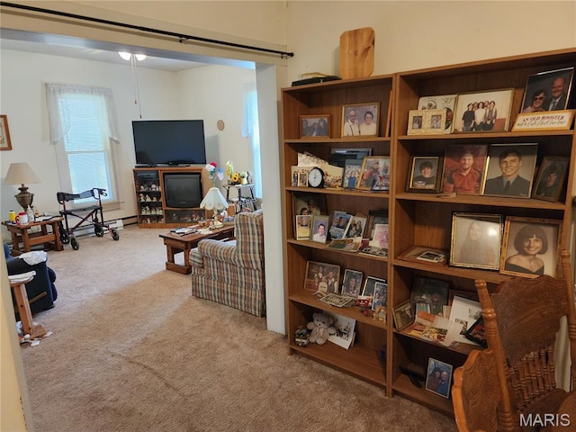 501 N Birch St, Mill Spring, MO 63952 - photo 11