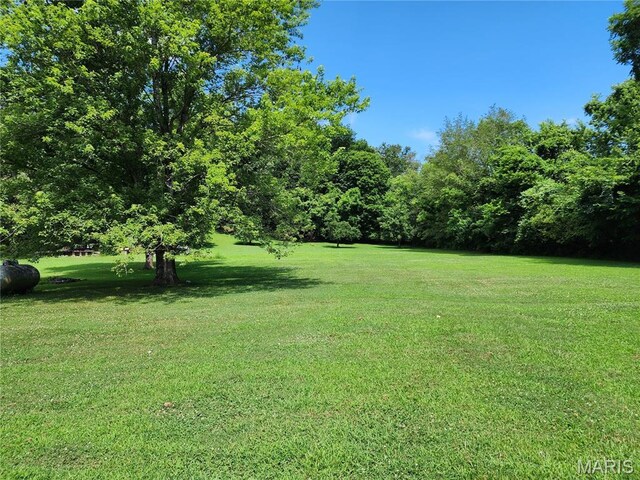 501 N Birch St, Mill Spring, MO 63952 - photo 24