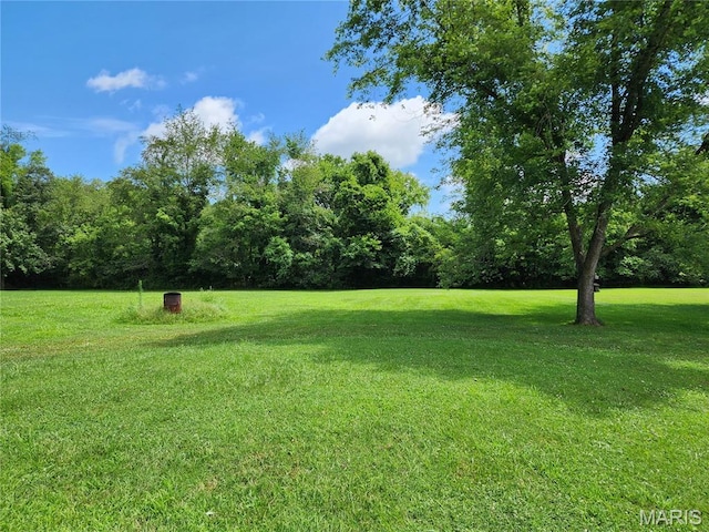 501 N Birch St, Mill Spring, MO 63952 - photo 28
