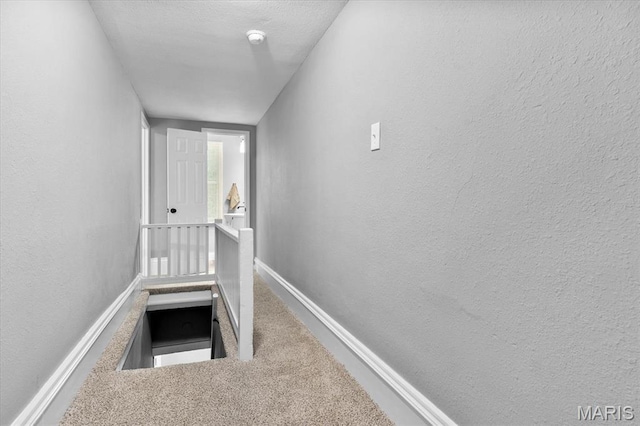 207 N 13th St, Belleville, IL 62220 - staircase featuring carpet and a textured wall