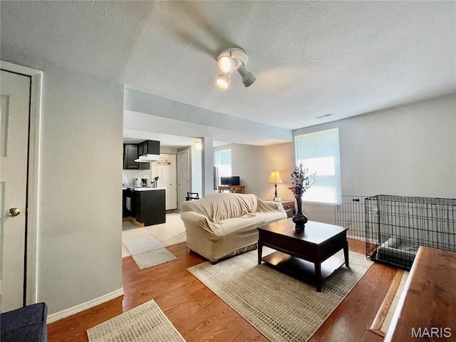 100A Wall St, New Haven, MO 63068 - living area featuring a textured ceiling and light wood-style flooring