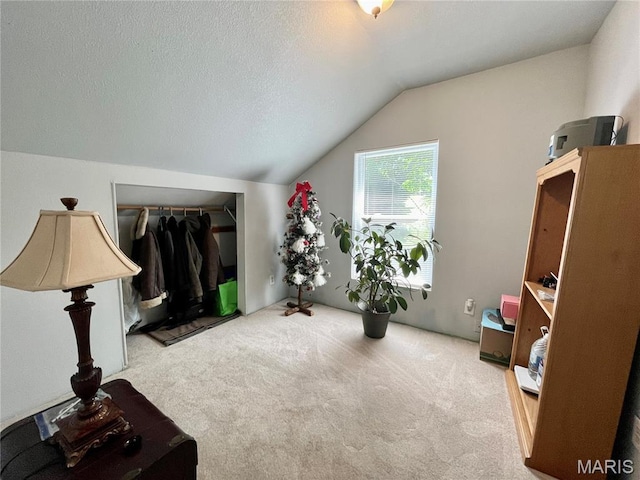 100A Wall St, New Haven, MO 63068 - living area with carpet flooring and lofted ceiling