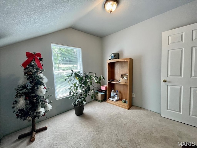 100A Wall St, New Haven, MO 63068 - misc room with carpet, vaulted ceiling, and a textured ceiling