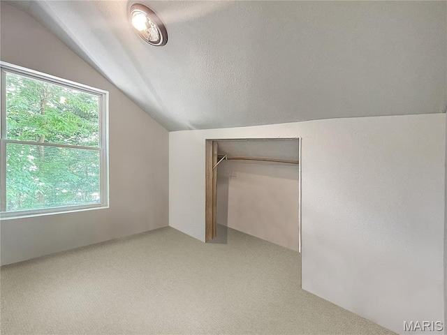 100A Wall St, New Haven, MO 63068 - bonus room with vaulted ceiling and light carpet