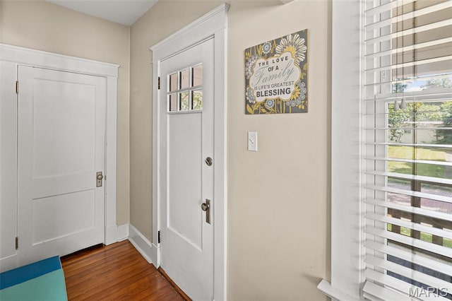 505 Sycamore St, Belleville, IL 62220 - entryway featuring dark wood finished floors and baseboards