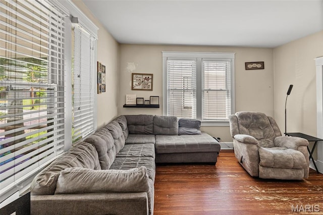 505 Sycamore St, Belleville, IL 62220 - living room with wood-type flooring and baseboards