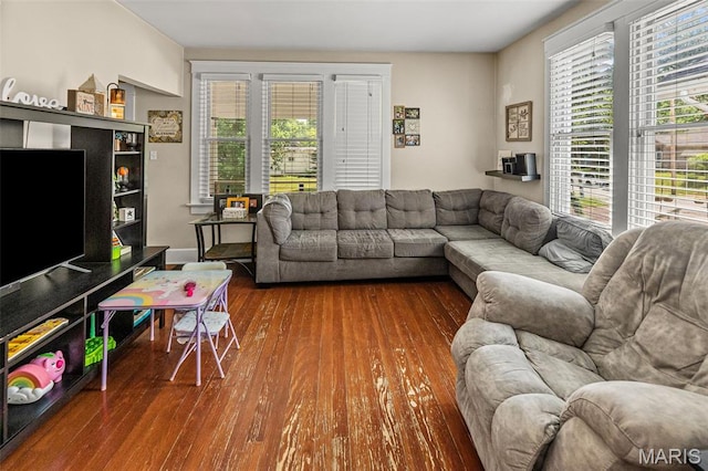 505 Sycamore St, Belleville, IL 62220 - living room with wood-type flooring