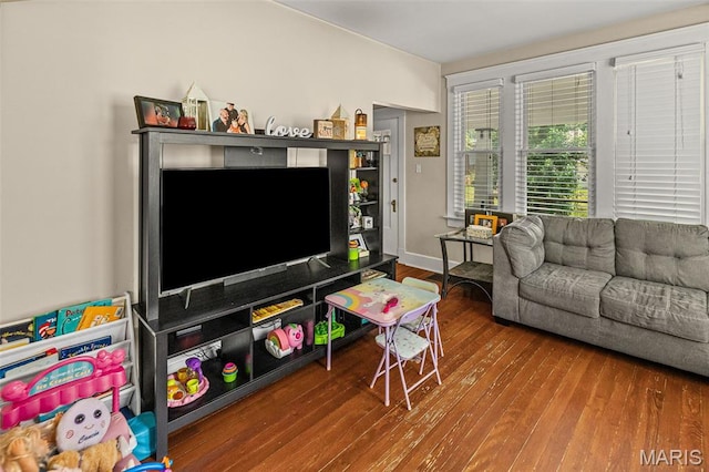 505 Sycamore St, Belleville, IL 62220 - living room with hardwood / wood-style floors
