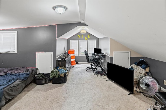 505 Sycamore St, Belleville, IL 62220 - office space featuring carpet floors and lofted ceiling