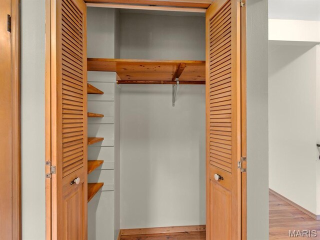 4488 Rock Creek Valley Rd, House Springs, MO 63051 - view of closet