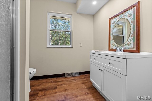 4488 Rock Creek Valley Rd, House Springs, MO 63051 - bathroom with vanity, wood finished floors, and recessed lighting