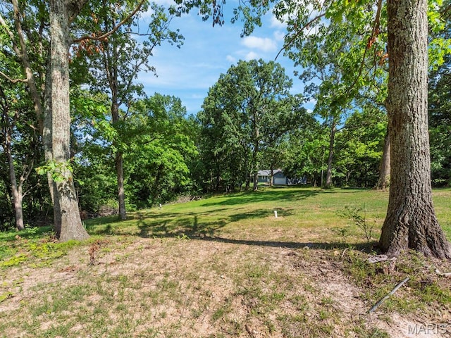 4488 Rock Creek Valley Rd, House Springs, MO 63051 - view of green lawn