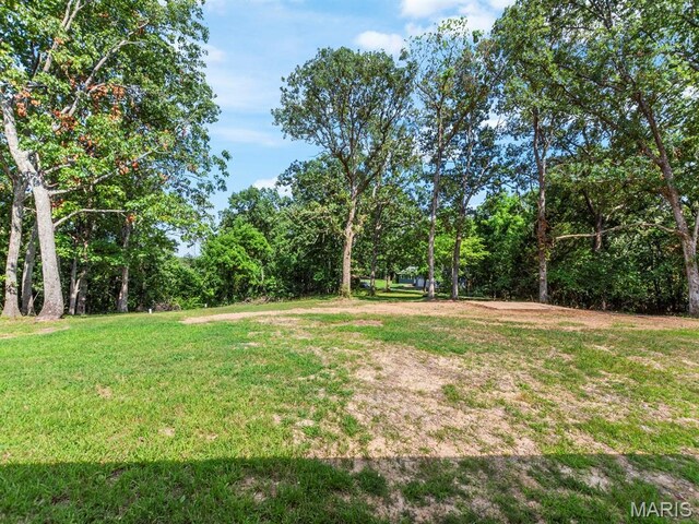 4488 Rock Creek Valley Rd, House Springs, MO 63051 - view of grassy yard