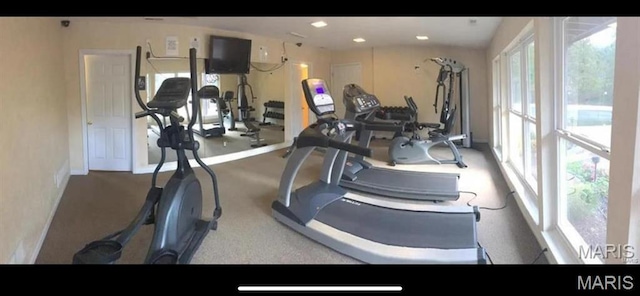 1989 Hunting Lake Ct Unit 201, Kirkwood, MO 63122 - view of workout area