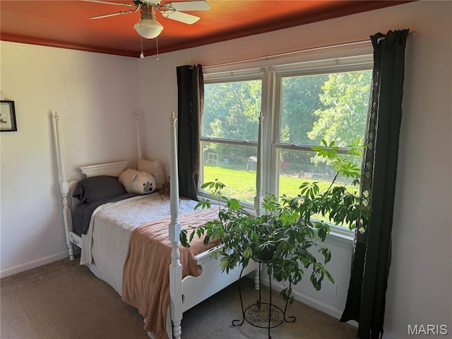 8705 State Road Y, Dittmer, MO 63023 - bedroom with carpet, ornamental molding, and a ceiling fan