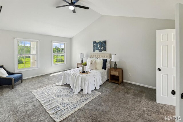 2447 Pro Tour Dr, Belleville, IL 62220