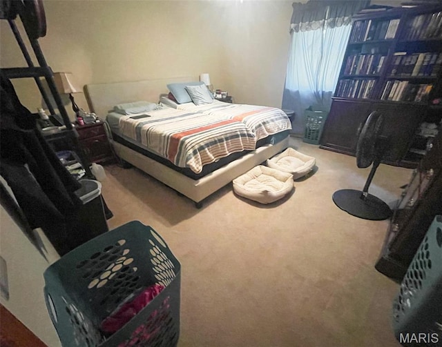 402 N Viola St, Bloomfield, MO 63825 - view of carpeted bedroom