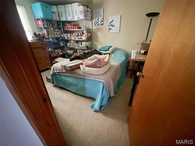 402 N Viola St, Bloomfield, MO 63825 - view of carpeted bedroom
