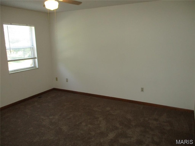 40 Lindenleaf Ln, Belleville, IL 62223 - photo 20