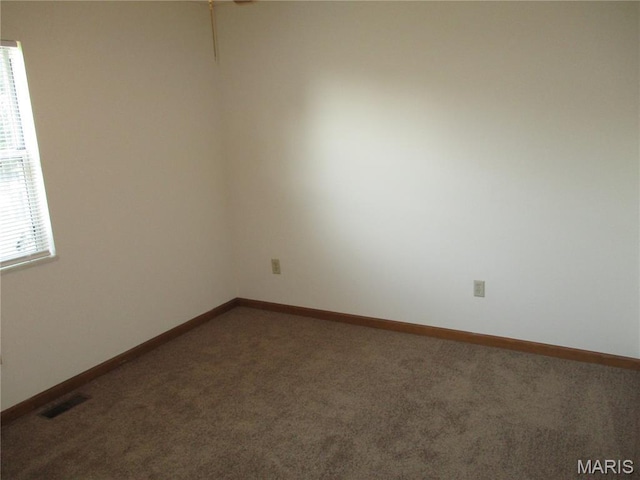 40 Lindenleaf Ln, Belleville, IL 62223 - photo 26
