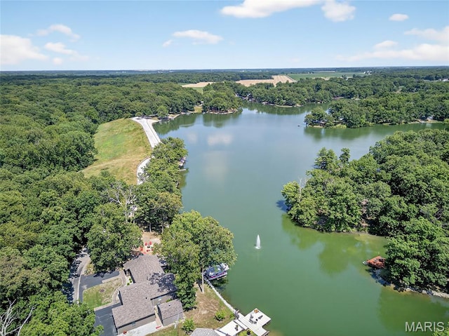 11178 Catatoga Dr, Plainview, IL 62685 - aerial view of a forest and a nearby body of water