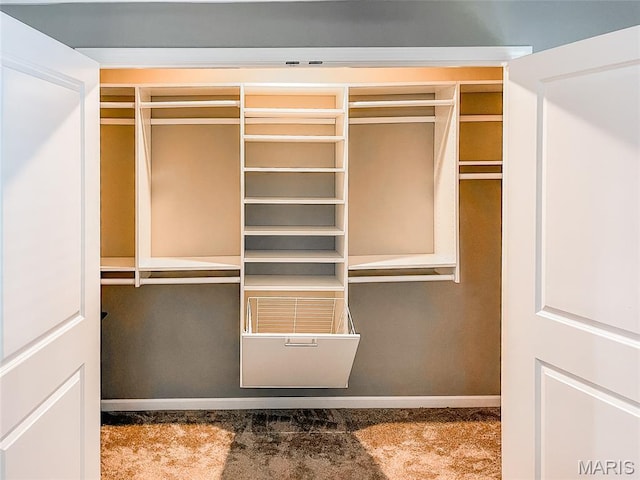 11178 Catatoga Dr, Plainview, IL 62685 - view of closet