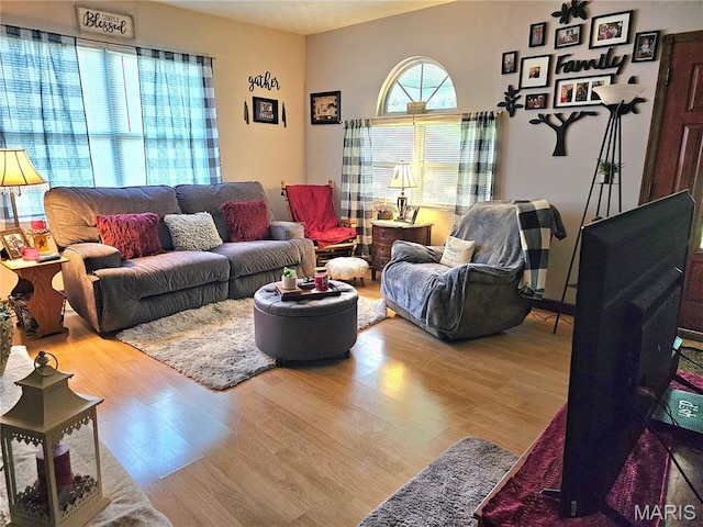 521 Cherry St, Tilden, IL 62292 - living room featuring wood finished floors
