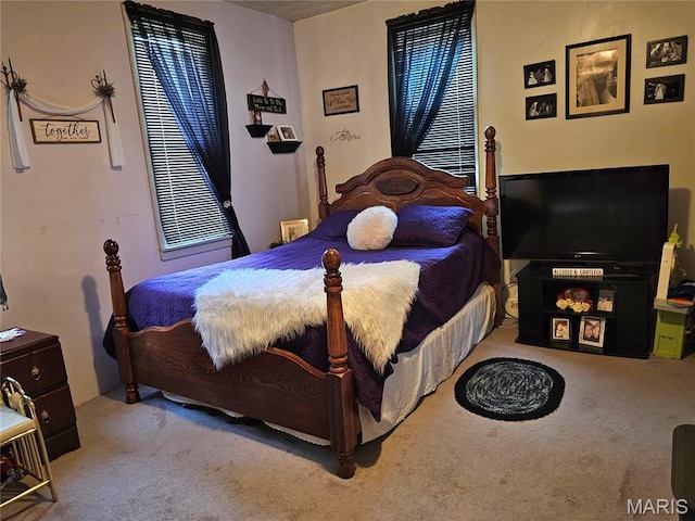 521 Cherry St, Tilden, IL 62292 - bedroom with carpet floors