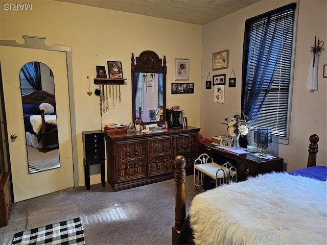 521 Cherry St, Tilden, IL 62292 - bedroom featuring carpet floors