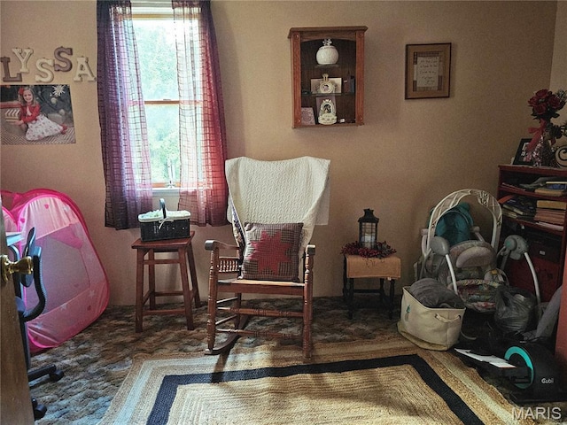 521 Cherry St, Tilden, IL 62292 - sitting room with plenty of natural light