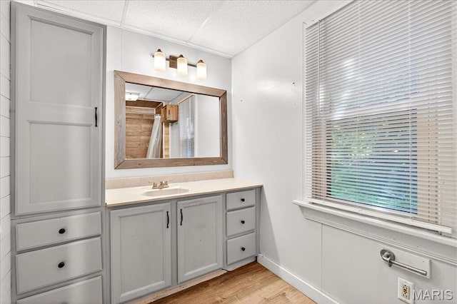 1404 State Route 156, Waterloo, IL 62298 - full bath with vanity, wood finished floors, a paneled ceiling, and a shower with curtain