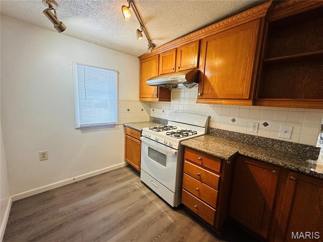 3418 Eastridge Ln, Saint Louis, MO 63074 - kitchen with white gas stove, under cabinet range hood, track lighting, brown cabinets, and light wood-style floors