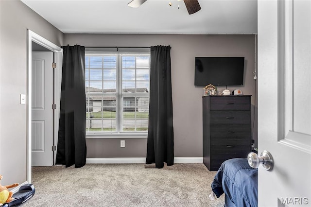 445 N Haven Dr, Farmington, MO 63640 - photo 27