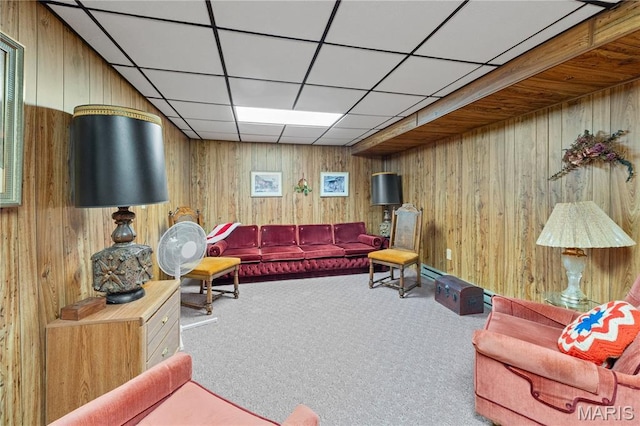 1847 Stoddard St, Cape Girardeau, MO 63701 - photo 33